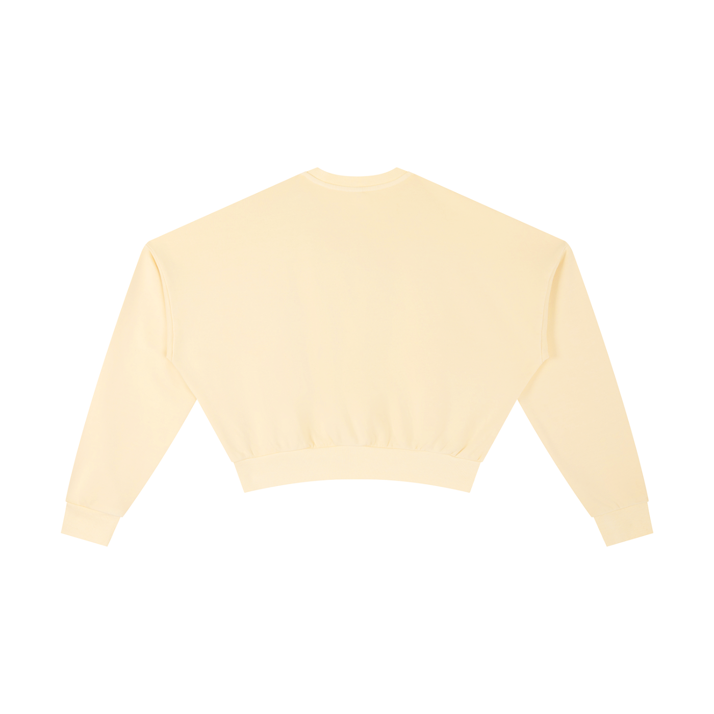 Quiet Riot™ Vintage Washed Cropped Sweatshirt